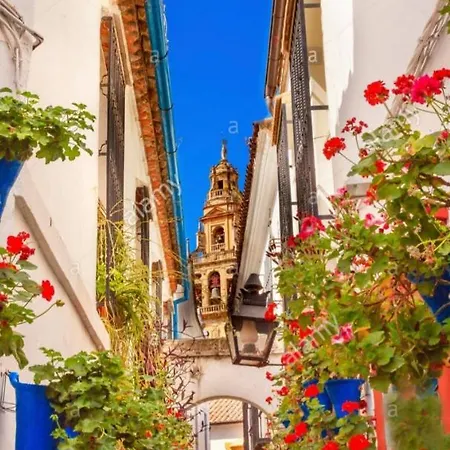 Centro-mezquita 4 A 8 Huespedes Апартаменты *